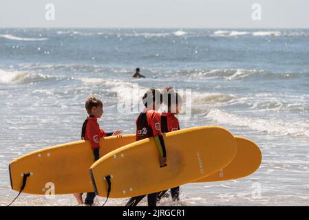 Aveiro, Portugal - August 19, 2022: A group of surfing students walk with their instructor to receive their lessons. Stock Photo