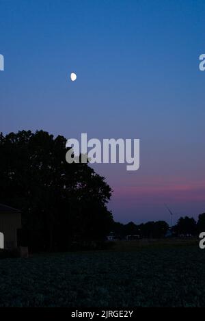 Full moon over trees in the Dutch landscape during the so-called blue hour Stock Photo