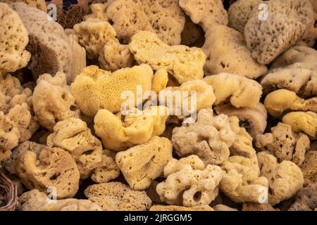 A group of natural sponges sold in a market at Gallipoli, Puglia, Italy Stock Photo