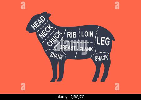 Sheep diagram cuts. Butcher scheme poster. Cuts of sheep meat. Meat diagram scheme illustration. Farm animal silhouette. Stock Vector