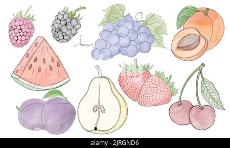 Big set of watercolor fruits freehand illustration Stock Photo - Alamy