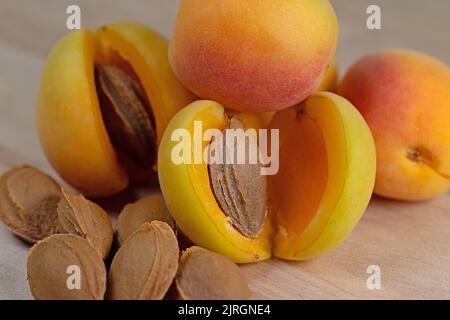 Apricot kernels and apricots in a closeup Stock Photo