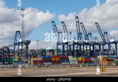 Felixstowe, UK 24 Aug 2022 The Ever Alot is berthed at the Felixstowe docks. It is the largest container ship in the world. The dockers are on strike over pay issues so the containers cannot be unloaded until the issue is resolved. Hudong-Zhonghua Shipbuilding Group Co. (Hudong-Zhonghua), a subsidiary of China State Shipbuilding Corporation (CSSC), built and delivered the worldÕs largest containership to Taiwanese shipping company Evergreen Marine. The Ever Alot vessel has a carrying capacity of 24,004 TEU and measures 400 metres long by 61.5 metres wide, with a draft of 17 metres. The giant Stock Photo
