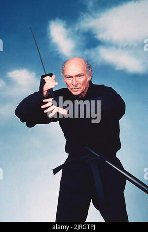 LEE VAN CLEEF, THE MASTER, 1984 Stock Photo