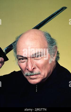 LEE VAN CLEEF, THE MASTER, 1984 Stock Photo