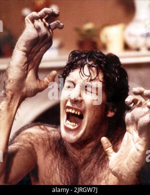 DAVID NAUGHTON, AN AMERICAN WEREWOLF IN LONDON, 1981 Stock Photo