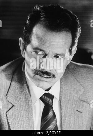 Blue Thunder / 1983 / directed by John Badham / [Columbia Pictures] Stock  Photo - Alamy