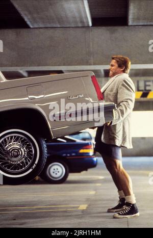 ARNOLD SCHWARZENEGGER, TWINS, 1988 Stock Photo