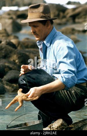 NICK NOLTE, CANNERY ROW, 1982 Stock Photo