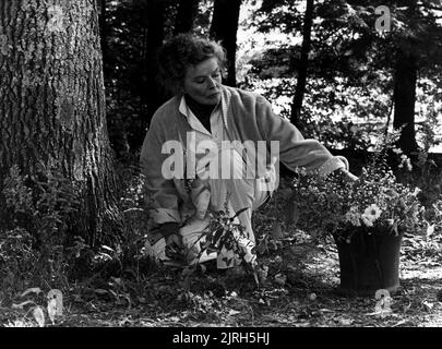 KATHARINE HEPBURN, ON GOLDEN POND, 1981 Stock Photo