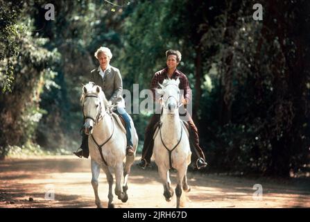 GLENN CLOSE, JEFF BRIDGES, JAGGED EDGE, 1985 Stock Photo