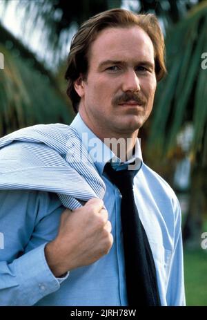 WILLIAM HURT, BODY HEAT, 1981 Stock Photo