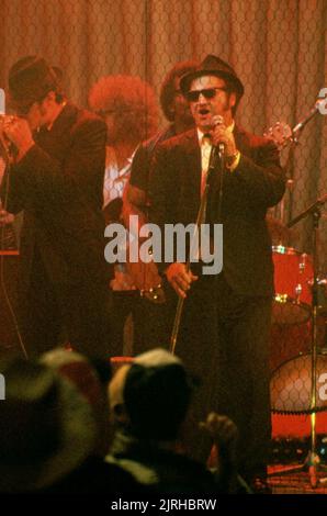 DAN AYKROYD, JOHN BELUSHI, THE BLUES BROTHERS, 1980 Stock Photo