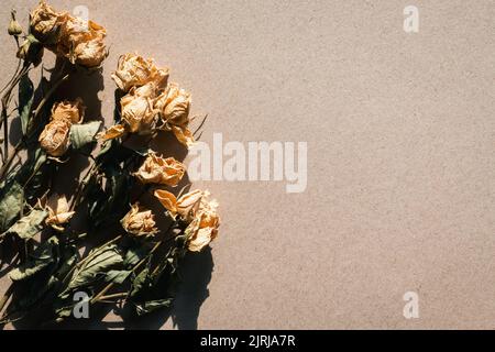 Dried flowers on beige cardboard paper texture, light and shadow retro background, copy space Stock Photo