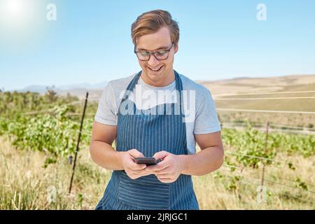 Phone, farm and wine with a farmer or winemaker gets good news online in vineyard. Sustainability, development and ecommerce in farming. Leader in Stock Photo