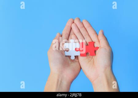 White and red jigsaw puzzles. Placed on hand to hand together. Blue background. The concept of cooperation. Joint investment. Cooperation to be succes Stock Photo