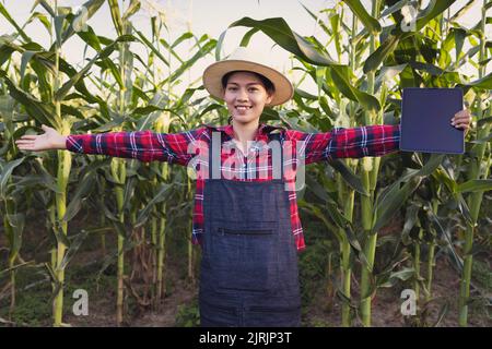 Smart farmer standing in green corn farm holding tablet Stock Photo