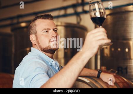 Making great wines using traditional, natural viticultural and winemaking methods. a handsome young man enjoying wine tasting in his distillery. Stock Photo