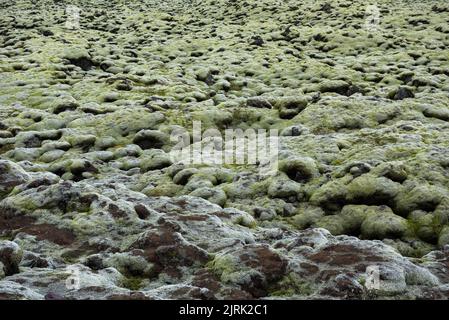 Moss covered lava field in a cloudy day. Eldhraun, Iceland Stock Photo
