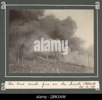 At Levin: The last bush fire on the South Block, 20 February 1905. From the album: Family photographs [1904-1907], 1905, Levin, by Leslie Adkin. Stock Photo