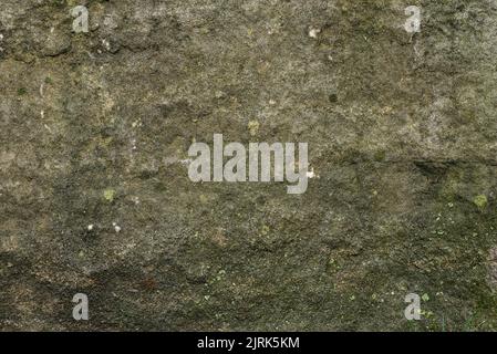 Natural gray granite stone texture, grey granite from Italy, wallpaper and texture suitable for rendering green moss Rough  background Stock Photo