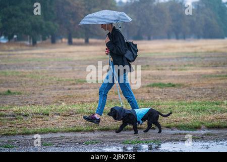 Wimbledon, London, UK. 25 August 2022  A walker braves   the rain on  a waterlogged Wimbledon Common south-west London this morning as the Met Office issue a yellow weather warning for torrential rain for London and the South East England  . Credit. amer ghazzal/Alamy Live News Stock Photo