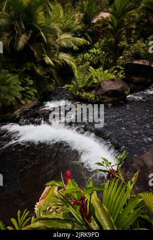 The Tabacon Hot Springs, geothermal waterfall in La Fortuna Arenal volcano area, Costa Rica Stock Photo