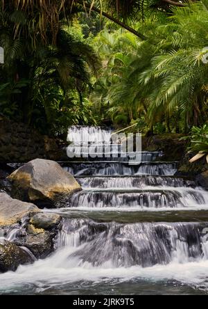Scenic Tabacon Hot Springs in wild tropical forest, Costa Rica Stock Photo