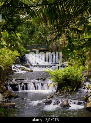 Charming scenery of Tabacon Hot Springs flowing in La Fortuna Arenal volcano area, Costa Rica Stock Photo
