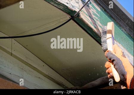 A painter or home handyman is up a ladder with a wire brush taking loose paint off a builder in preparation for painting Stock Photo
