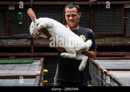 Lembang, West Java, Indonesia. 25th Aug, 2022. Breeders display the ...