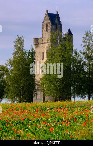 Poppy field with Ulster Tower memorial, Somme, France Stock Photo