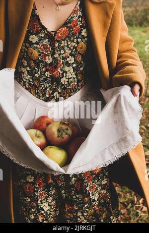 Unrecognizable lady in bright floral dress carrying ripe fresh red and yellow apples in white apron while standing in garden Stock Photo