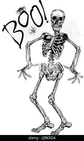 dancing skeleton wearing boo spider Stock Vector