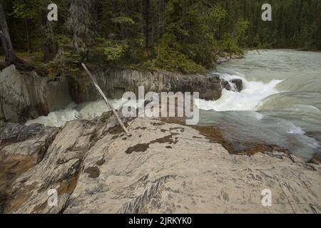 Thompson Falls on Blaeberry River in British Columbia,Canada,North America Stock Photo