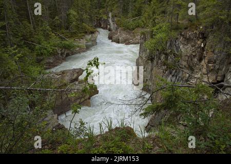 Blaeberry River at Thompson Falls in British Columbia,Canada,North America Stock Photo