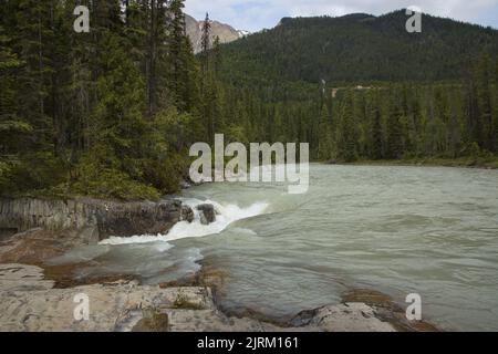 Thompson Falls on Blaeberry River in British Columbia,Canada,North America Stock Photo