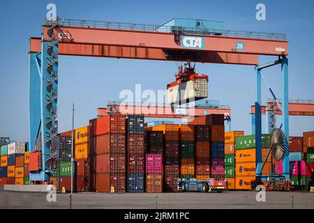 Hamburg, Germany. 24th Aug, 2022. An automated container transporter (AGV) is loaded on the premises of Container Terminal Altenwerder (CTA). The fully automated and driverless container transport vehicles (AGV - Automated Guided Vehicle) are responsible for transport between the storage blocks in the center of the terminal and the container gantry cranes on the water side. Credit: Christian Charisius/dpa/Alamy Live News Stock Photo