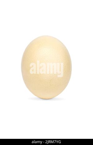 Image of ostrich egg isolated on white background. Stock Photo