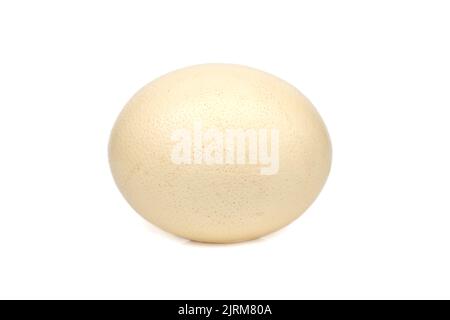 Image of ostrich egg isolated on white background. Stock Photo