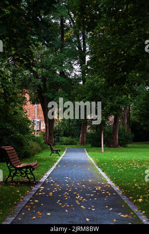 path in the park among the trees Stock Photo