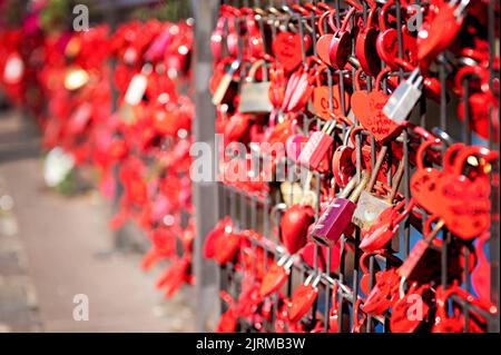 Locks on fence in Colmar, France Stock Photo