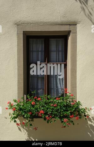 Flower box full of geraniums is decorating a window in front of a house in Germany Stock Photo