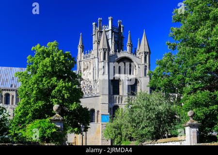 Summer view over Ely Cathedral; Ely City; Cambridgeshire; England; UK Stock Photo