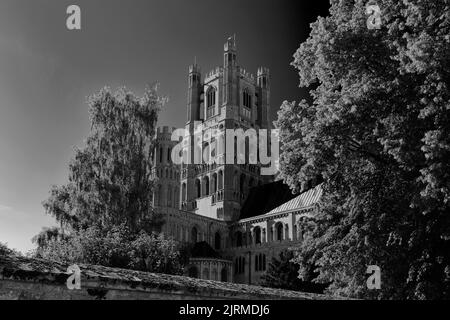 Summer view over Ely Cathedral; Ely City; Cambridgeshire; England; UK Stock Photo