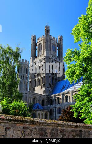 Summer view over Ely Cathedral; Ely City; Cambridgeshire; England; UK Stock Photo