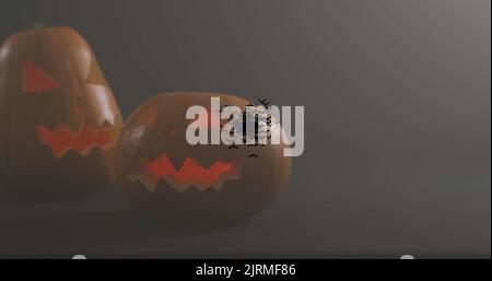 Halloween text banner and multiple flying bat icons over halloween pumpkins against grey background Stock Photo