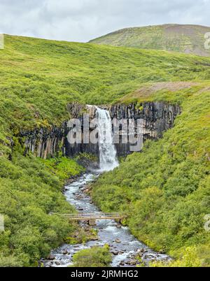 Way to Waterfall Svartifoss at Vatnajökull National Park in Iceland Stock Photo