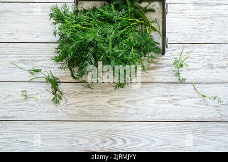 Fresh organic dill in rural tray. Natural food ingredients. White wood background, top view Stock Photo
