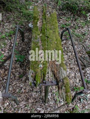 An ramshackle table in the forest is covered in moss Stock Photo